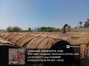 lakdi nimbodi